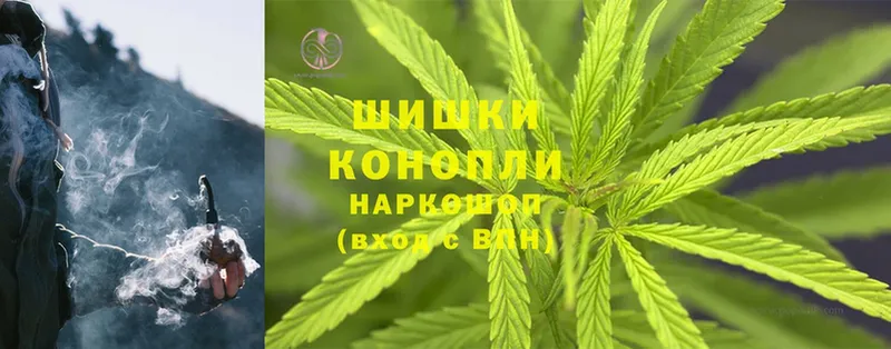 Бошки марихуана OG Kush  blacksprut как войти  Отрадная  купить наркотик 